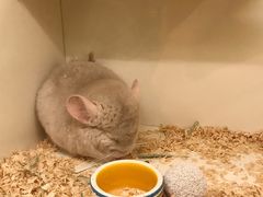 -龙猫仔乐园(惠福东路店)