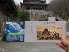 -黄鹤楼公园(黄鹤楼)