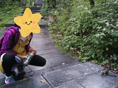 -汤旺河林海奇石景区