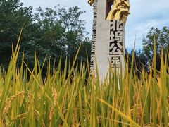 -北坞公园