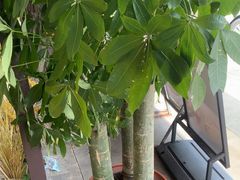 -张钰强中医正骨推拿连锁(唐家人才公寓店)