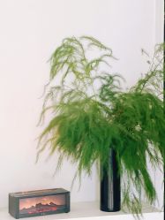 -闺蜜瑜伽·普拉提女性塑形馆