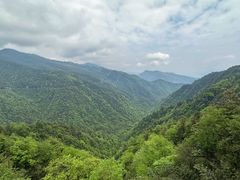 -瓦屋山景区