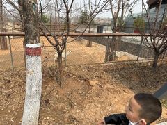 -太原动物园