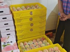 -老袁家蜜桃农场·阳山水蜜桃