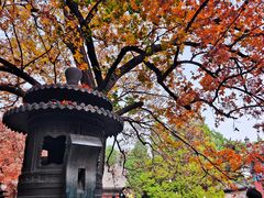 -香山公园