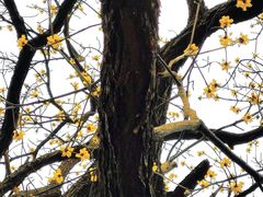 -北仑森林植物园