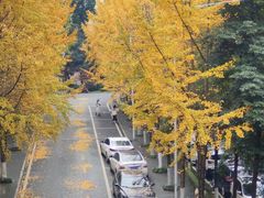 -重庆工商大学(南岸校区)