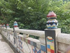 -西双版纳原始森林公园