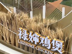 -禄婶鸡煲·打边炉