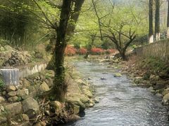 -东天目山风景区