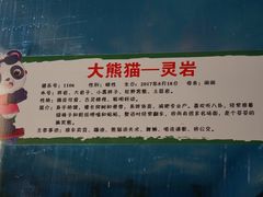 -栾川竹海野生动物园