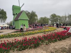 -石家庄市植物园