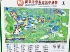 -野象谷景区