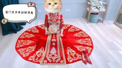 -深白婚纱艺术馆(王府壹号店)