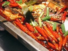 -探鱼·鲜青椒爽麻烤鱼(中山大信新都汇店)