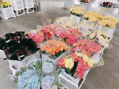 -盒马X会员店(王府井奥莱UP TOWN店)
