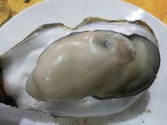 -蚝专家(北滘店)