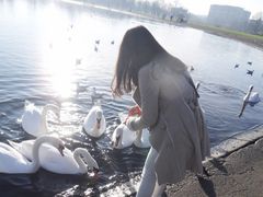 -海德公园