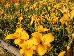 -汉长安城未央宫国家考古遗址公园