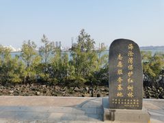 -海沧湾公园