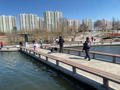 -永定河休闲森林公园