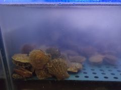 -鼓歌海鲜舫·手抓海鲜(大学城店)