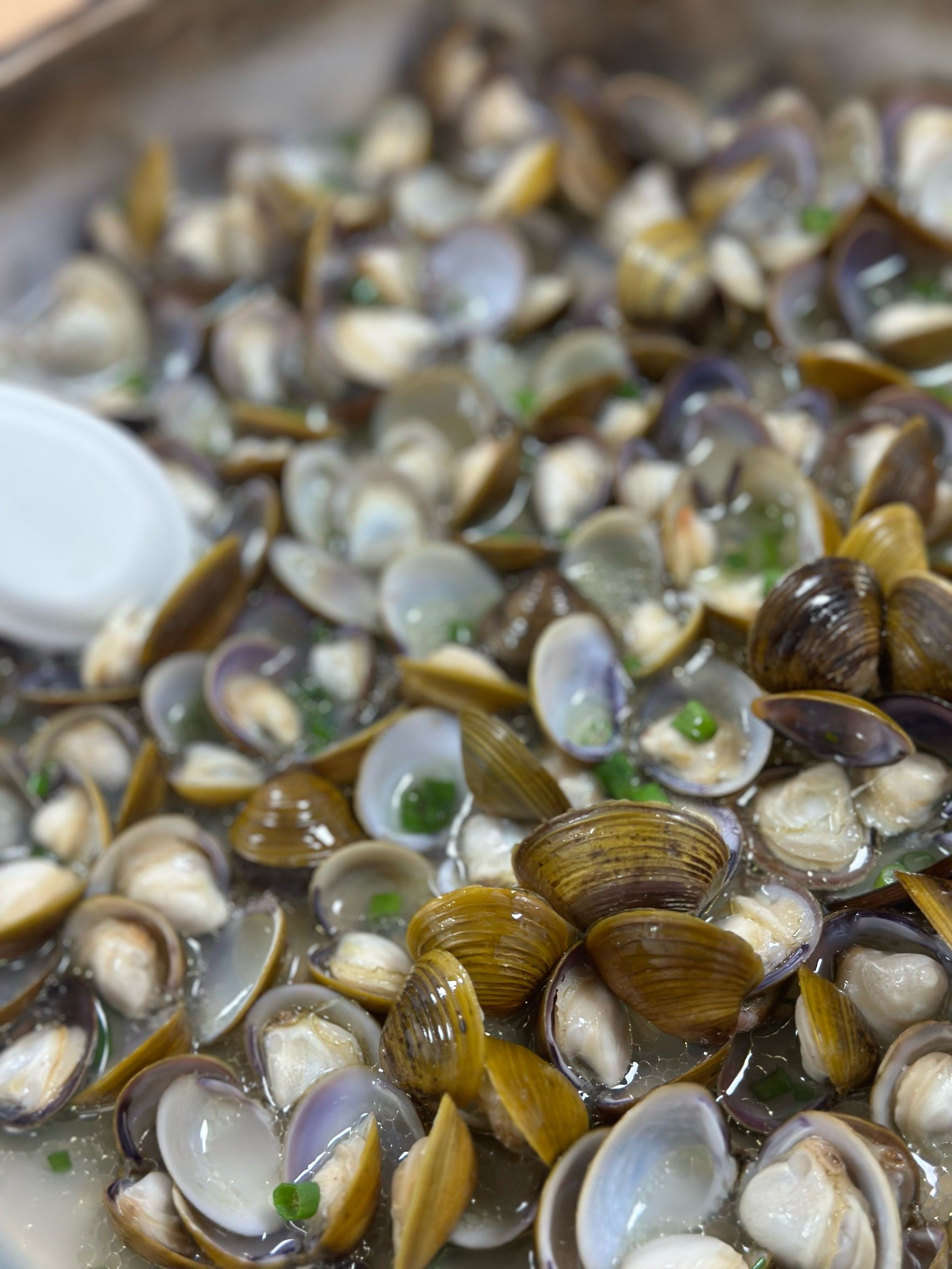 应季的黄沙蚬绝了