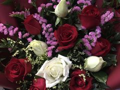 -陶然居·重庆菜(两江会馆店)