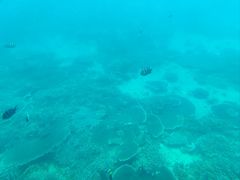 -亚龙湾海底世界