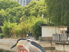 -后襄河公园
