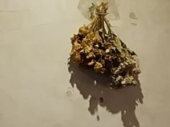 -春庄咖啡SpringHues(钟楼小区店)