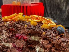 -北京希尔顿逸林酒店-逸轩西餐厅-自助餐厅