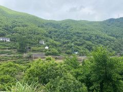 -四明山国家森林公园