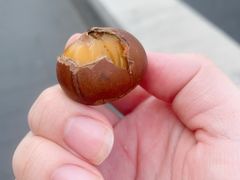 -秋栗香(地安门店)