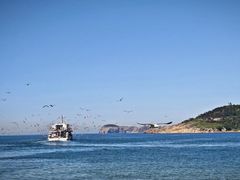 -海驴岛(荣成市)
