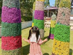 -金山农民画村-枫泾波兰倒置屋