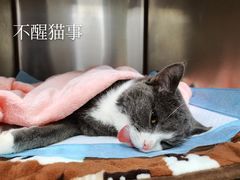 -福州肆爪动物医院