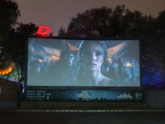 -枫花园汽车电影院(朝阳公园店)