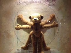 -济州岛泰迪熊博物馆