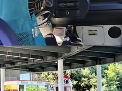 -龙井峡漂流