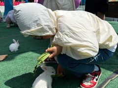 -芜湖新华联大白鲸海洋公园
