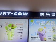 -一只酸奶牛(洪崖洞11楼店)