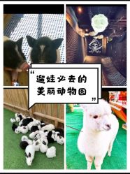 -萌宠亲子动物乐园(槐房万达店)