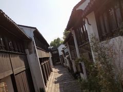 -黎里古镇