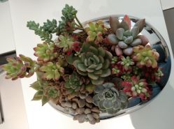 -颜蕾医美·黄金微针·水光·玻尿酸·超声炮·抗衰中心