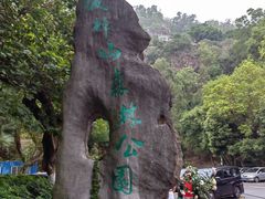 -板樟山森林公园