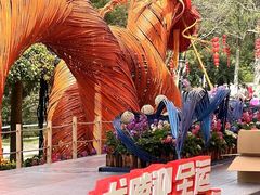 -广州市白云山风景名胜区