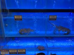-協成海鮮火鍋(老店)