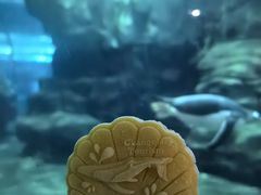 -杭州长乔极地海洋公园